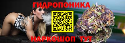 амф Обь