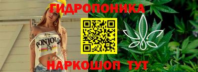 амф Обь