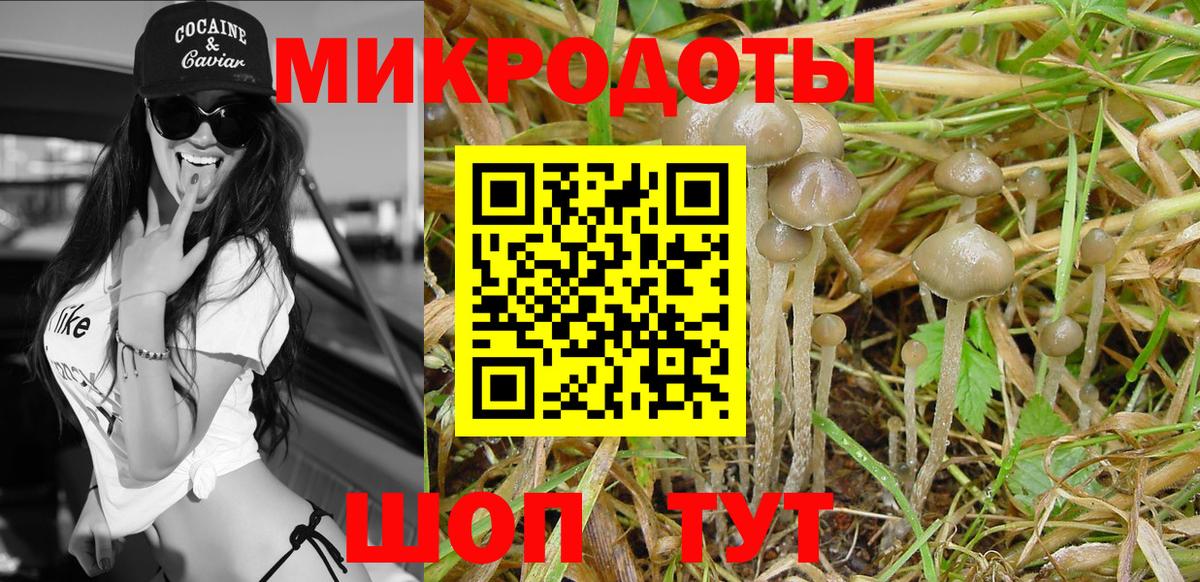 Бердск  Псилоцибиновые грибы Magic Shrooms  Галлюциногенные грибы мицелий  Вход с VPN 